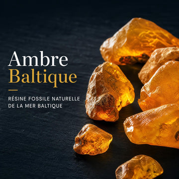 L'ambre : histoire, origines et propriétés — tout savoir sur cette gemme millénaire | Terre d'Ambre