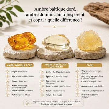 Ambre baltique vs dominicain vs copal : pourquoi l'ambre de la mer baltique reste le meilleur | Terre d'Ambre