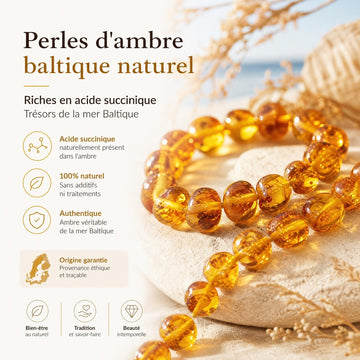 L'acide succinique : le secret scientifique de l'ambre baltique | Terre d'Ambre
